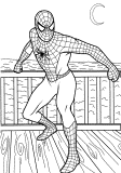 fargelegge spiderman